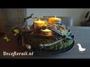 youtube - [Video]