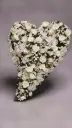 OASIS® Bioline Hart Swing (4).webp