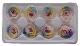 Geconserveerde rozen Geprepareerd Regenboog Soft doos 8 stuks