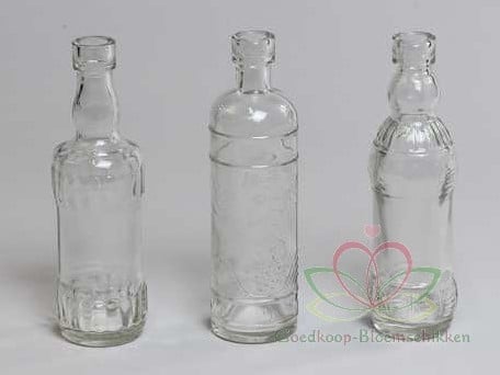 Glazen flesjes 17 cm 12 stuks