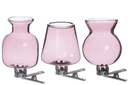 Gekleurd Glazen Flesje Clipper Roze Set 3 stuks met Clip
