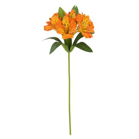 Alstroemeria Oranje Zijdenbloem 47 cm per stuk