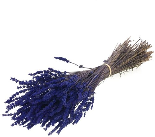 [A-016088] Geprepareerd Gepreserveerd Lavendel Dark Blue Bundel 45 cm 150 gr
