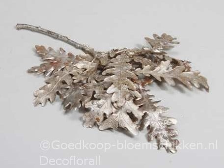 [A-016540] Eikenblad Platinumwash ca. 150 gr