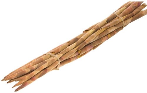 [A-019508] Cannomois Virgata bundel decoratieve stokken