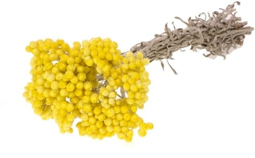 [A-019847] Immortelle SB droogbloemen Geel natural yellow 