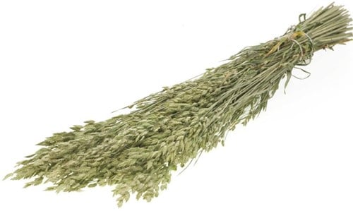 [A-021088] Bromus Secalinus SB Natural Groen droogbloemen