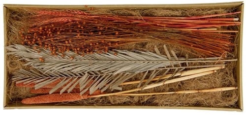 [A-022048] Droogbloempakket Exotic mix tray Terracotta 