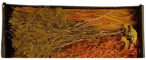 [A-022049] Droogbloempakket Dried flowers mix tray Orange 
