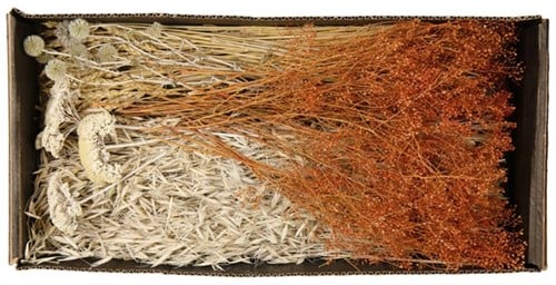 [A-022050] Droogbloempakket Dried flowers mix tray White Blue 