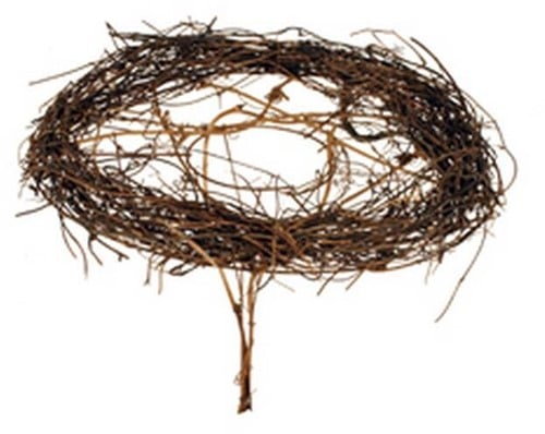 [A-003317] Boekethouder conisch Salim Meulenbeckia rond 20 cm