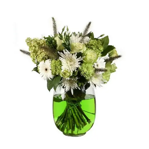[A-009456] Gekleurd Water Kleurvloeistof 20105 Groen 150cc