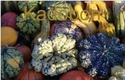 [A-002208] Cadeaubon Kadobon 25 euro