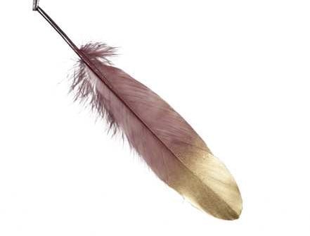 [A-023238] Penveren Burgundy / Goud 18-20cm pak ca. 24st Veren Goud dip 