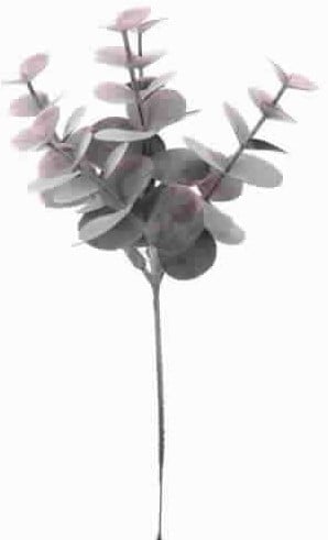 [A-010382] Eucalyptus Pick Burgundy 