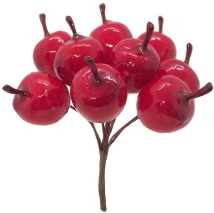 [A-024118] Appeltjes Rood Bundel 10 stuks