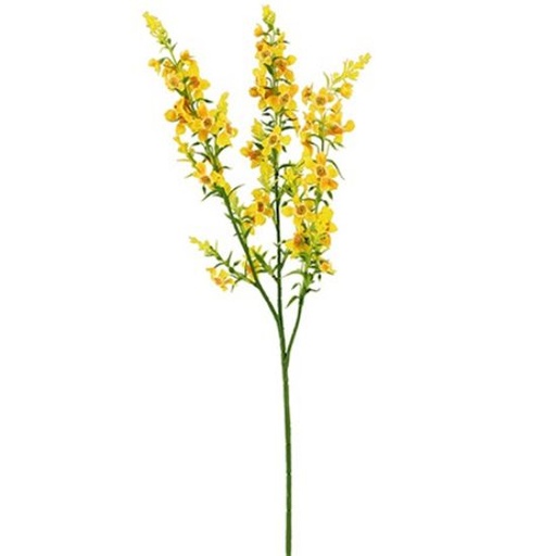 [A-028064] Kattenmunt Geel Zijdenbloem 75 cm per stuk