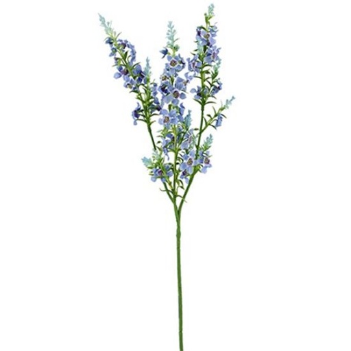 [A-028062] Kattenmunt Blauw Zijdenbloem 75 cm per stuk