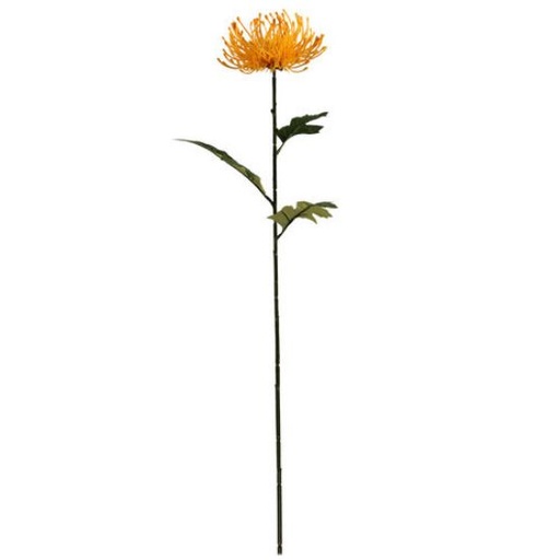 [A-028037] Protea Geel Zijdenbloem 75 cm per stuk