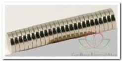 [A-028103] Corsagemagneet 250 sets ( 500 magneten) 2 mm 